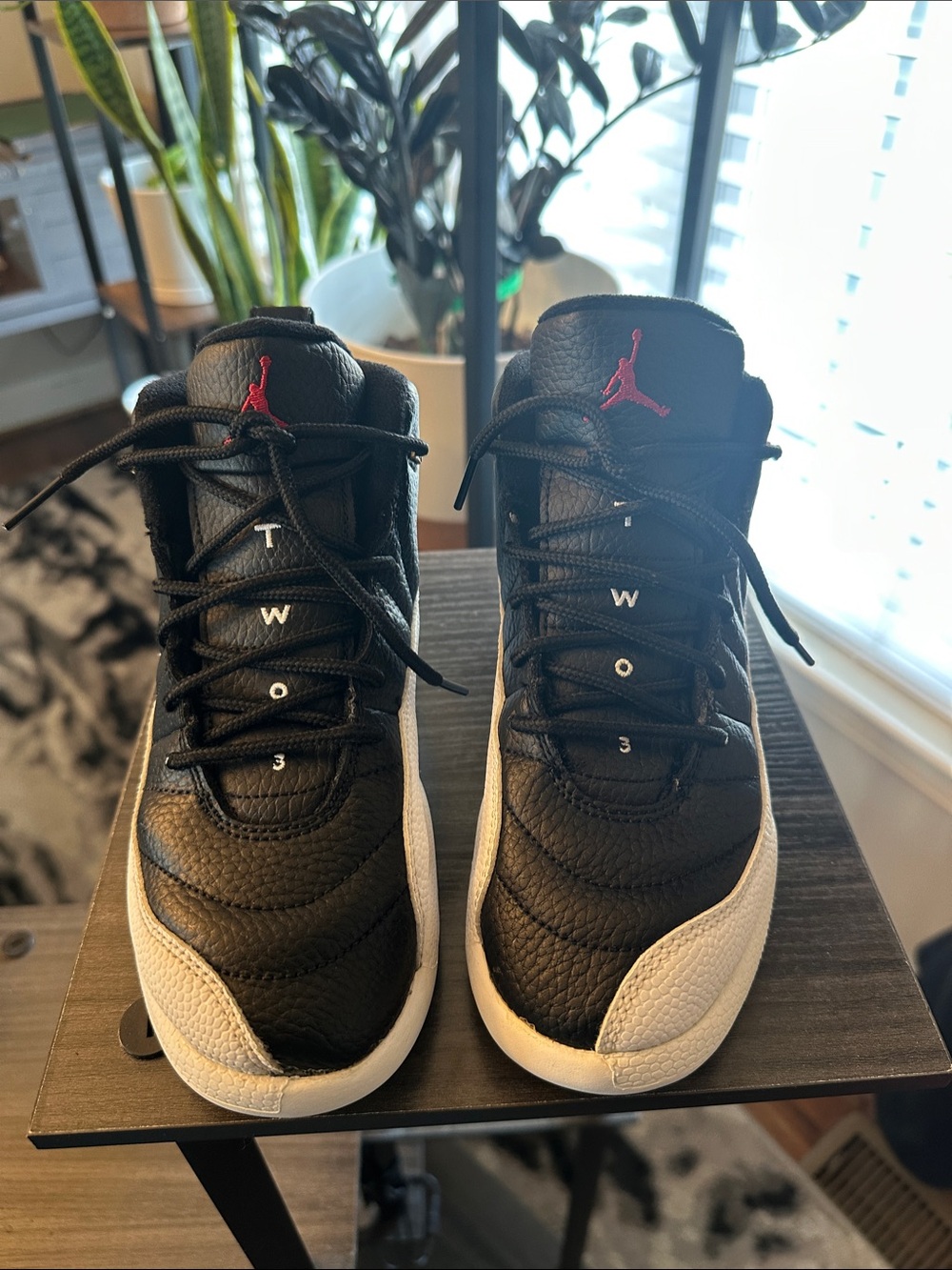Jordan 12 Retro 2Y